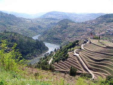 Excursion along the Rio Douro, Portugal 2009, DSC01513b_B740